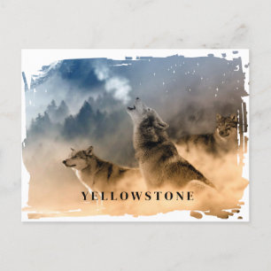 Carte postale du loup de Yellowstone