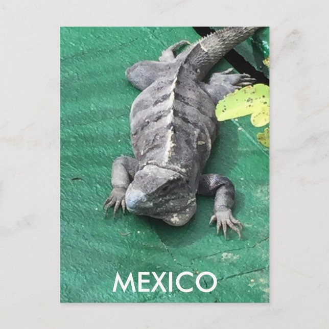 Carte postale du Mexique (Devant)