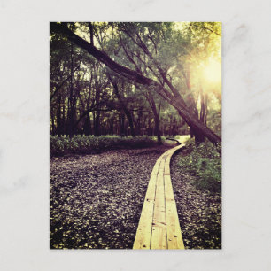 carte postale du minnesota