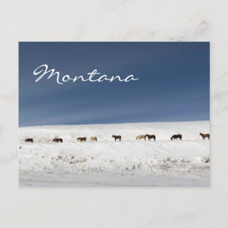 Carte postale du Montana