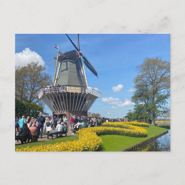 Carte postale du moulin à vent Amsterdam (Devant)