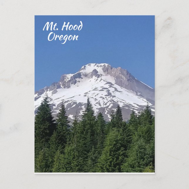 Carte postale du Mt. Hood Oregon Ski Bowl (Devant)