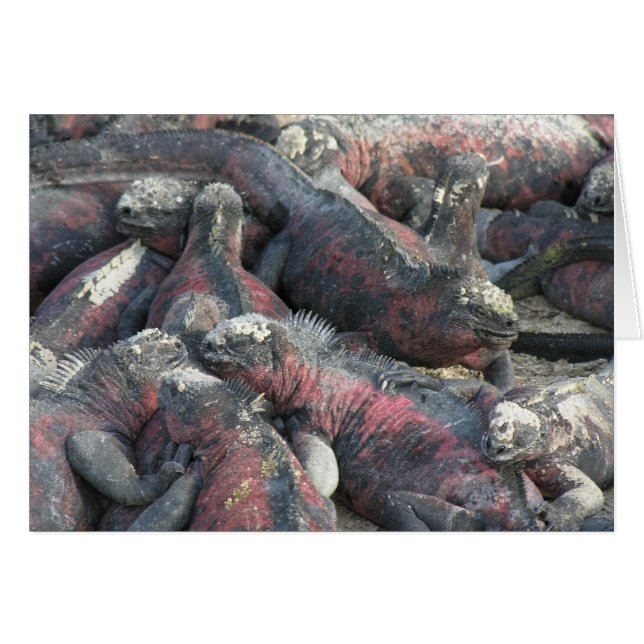 Carte postale du pacte monstre (Devant horizontal)