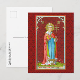 Carte postale du pape St. Cornelius (SAU 042)