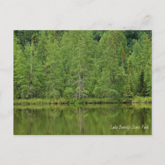 Carte postale du parc d'État du lac Bemidji