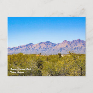 Carte postale du parc national de Saguaro