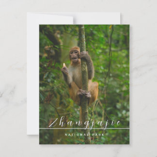 Carte postale du parc national de Zhangjajie