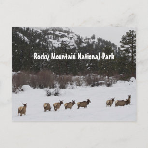 Carte postale du parc national des Rocheuses