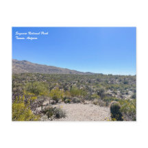 Carte postale du parc national du Saguaro
