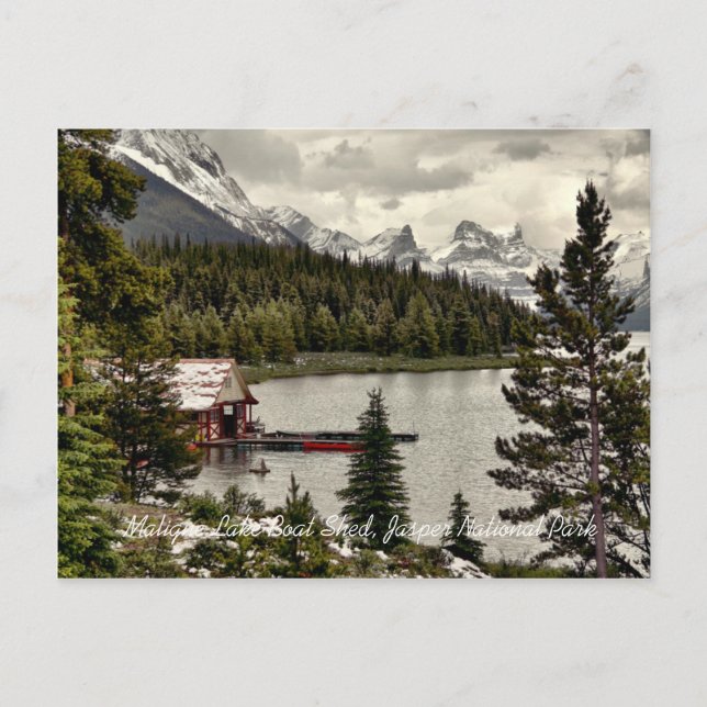 Carte postale du parc national Jasper Lake Boat Sh (Devant)