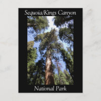 Carte postale du parc national Sequoia Kings Canyo