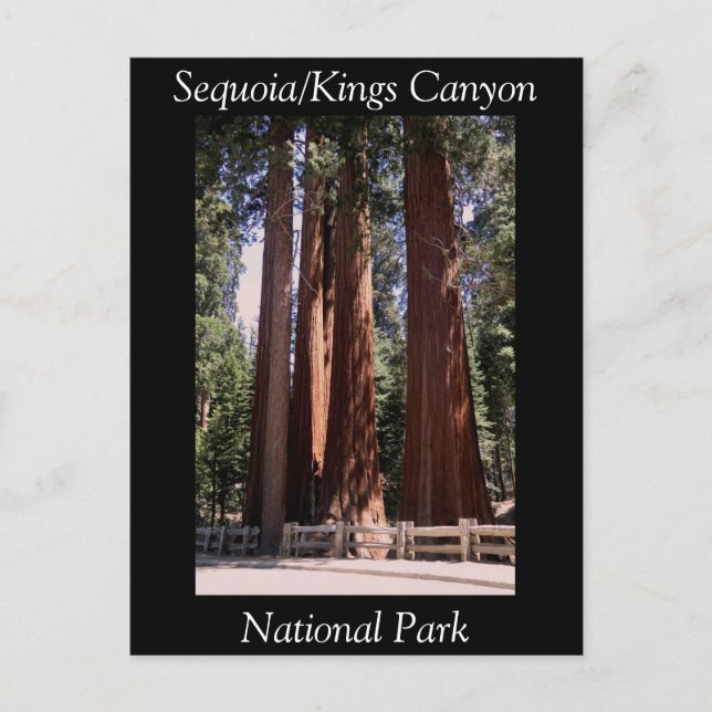 Carte postale du parc national Sequoia Kings Canyo (Devant)
