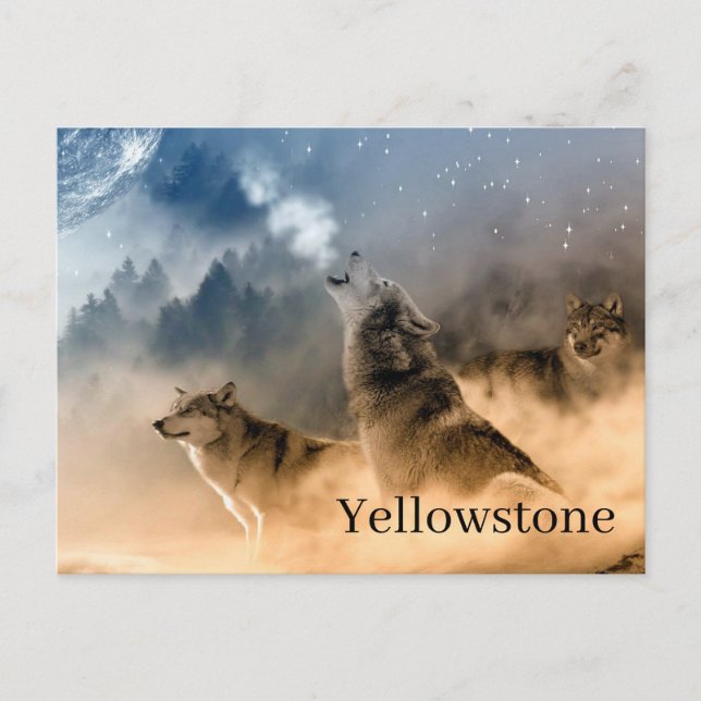 Carte postale du parc national Yellowstone (Devant)