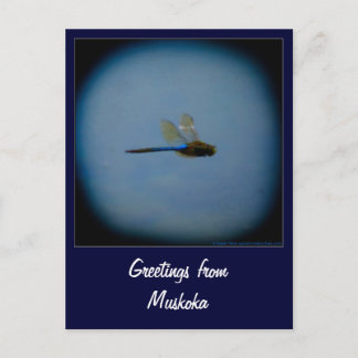 Carte postale du pays de vacances