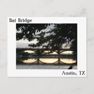 Carte postale du pont de la chauve-souris à Austin