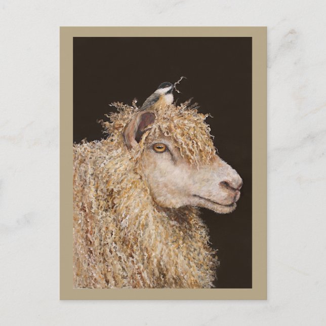 Carte postale du rassembleur de laine (Devant)