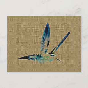 Carte postale du roi des colibris