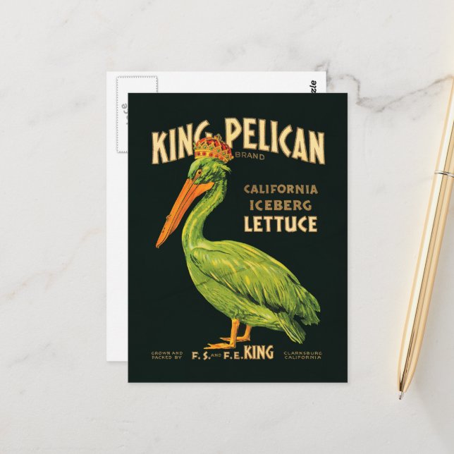 Carte postale du roi Pélican Laitue Iceberg (Devant/Arrière en situation)