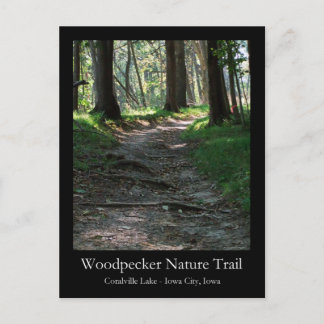 Carte postale du sentier naturel Woodpecker