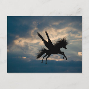 Carte postale du soir