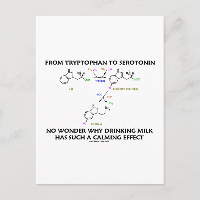 Carte Postale Du Tryptophane À La Serotonine (Humour De Chimie) (Devant)