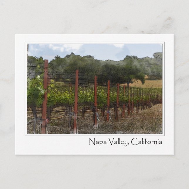Carte postale du vignoble de la vallée de Napa en  (Devant)