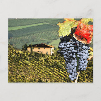 Carte postale du vignoble toscan