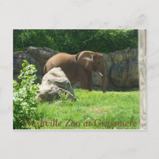 Carte postale du zoo de Nashville