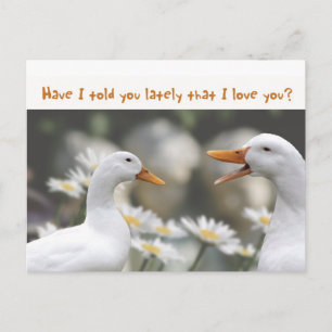 Carte Postale DucktoDuckLove vous