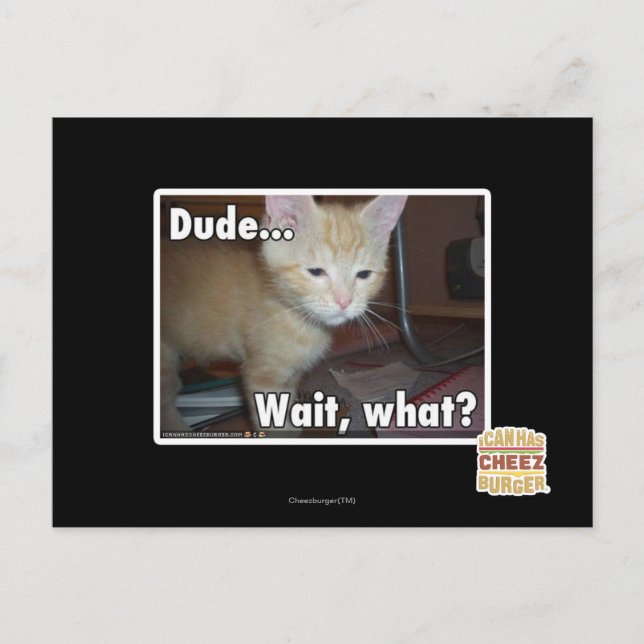 Carte Postale Dude (Devant)