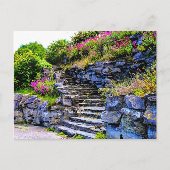 Carte Postale Dun Laoghaire, Irlande Photo pittoresque (Devant)