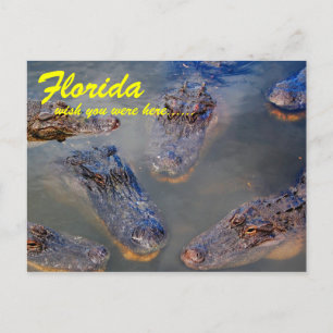 Carte postale d'un trou de natation en Floride