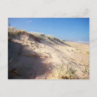 Carte Postale Dune de sable