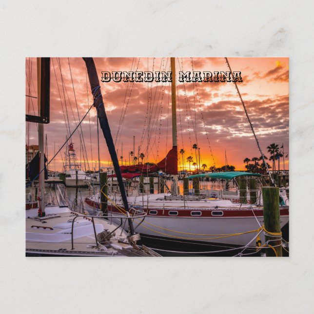 Carte Postale Dunedin Marina Sunset Floride (Devant)