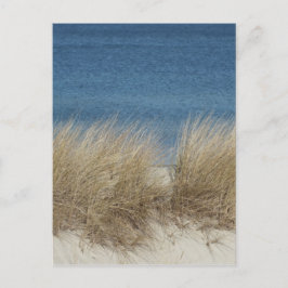 Carte Postale dünen