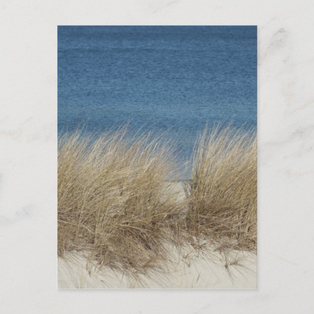 Carte Postale dünen (Devant)