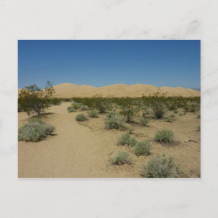 Carte Postale Dunes de Kelso au Mojave National Park
