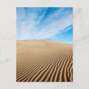 Carte Postale Dunes de Mesquite