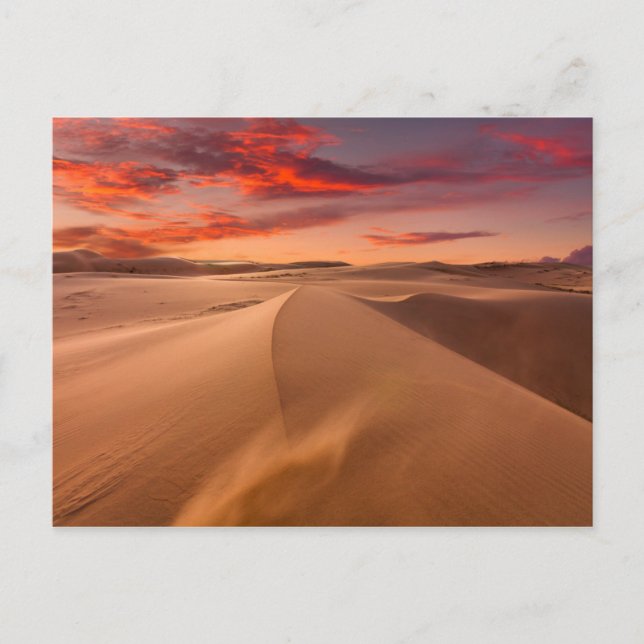 Carte Postale Dunes de sable dans le désert au coucher du soleil (Devant)