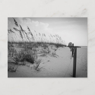Carte Postale Dunes de sable de Floride