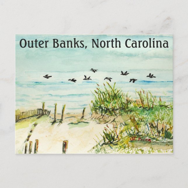 Carte Postale Dunes de sable et mouettes Bancs extérieurs Caroli (Devant)