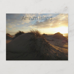 Carte Postale Dunes de sable gris au coucher du soleil, Amrum Is