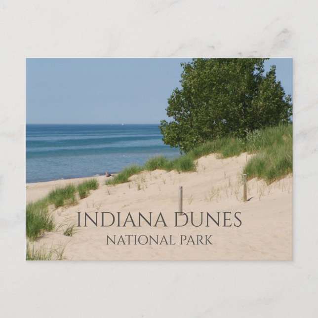 Carte Postale Dunes d'Indiana (Devant)