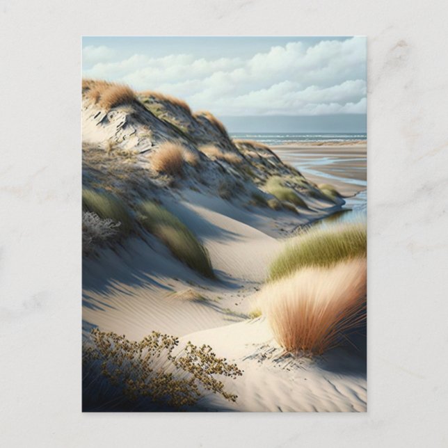 Carte Postale Dunes dorées (Devant)