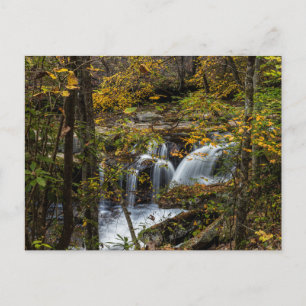 Carte Postale Dunloup Creek Falls   West Virginia