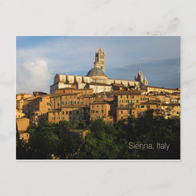 Carte postale - Duomo di Siena, Italie (Devant)