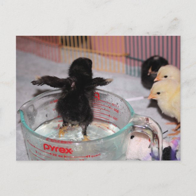 Carte Postale Durée du bain (Devant)