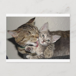 Carte Postale Durée du bain