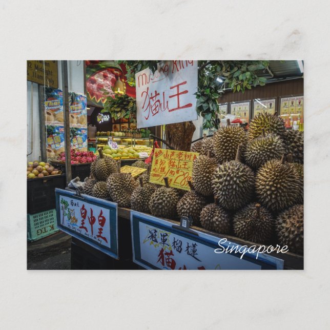 Carte postale durian de Singapour (Devant)