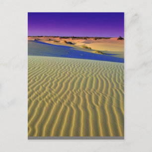 Carte Postale Dusk à Monahans Sands